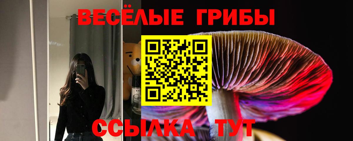 Галлюциногенные грибы прущие грибы Краснокамск